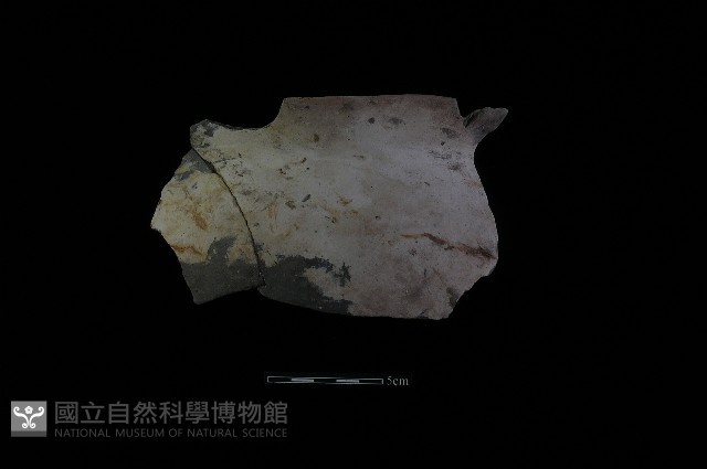 陶罐藏品圖，第2張