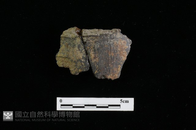 陶罐藏品圖，第2張