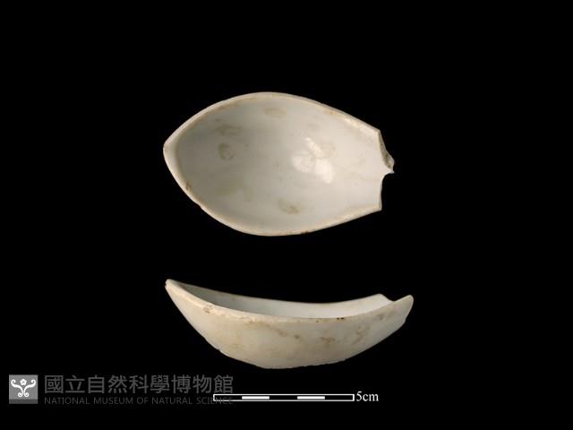 湯匙藏品圖，第1張