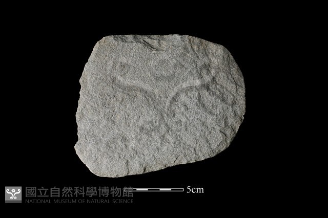 石片器藏品圖，第1張
