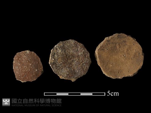 陶片藏品圖，第1張