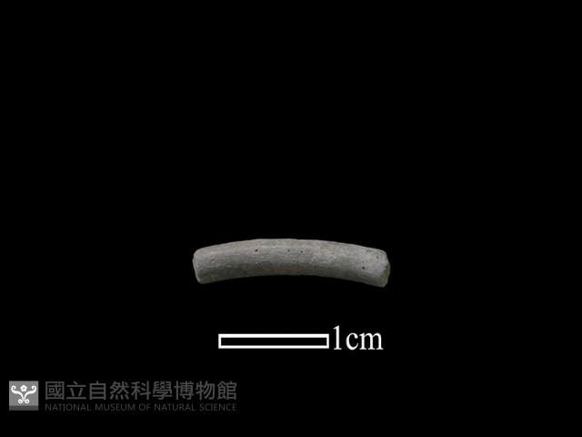 陶環藏品圖，第1張