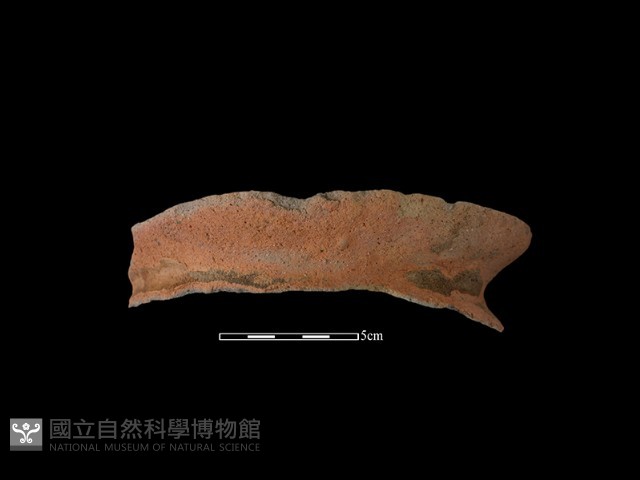 陶罐藏品圖，第1張