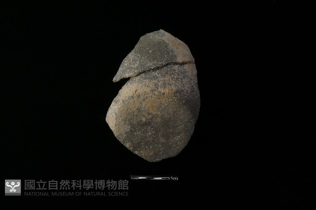 陶片藏品圖，第1張