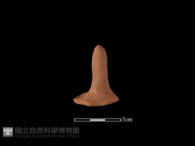 陶蓋鈕藏品圖，第1張