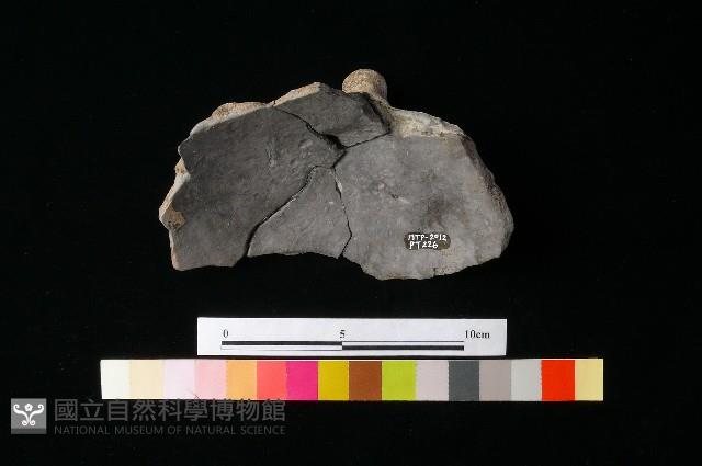 Accession Number:MTP-2012-PT226 Collection Image, Figure 2, Total 3 Figures