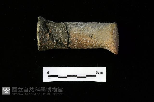 獸足藏品圖，第2張