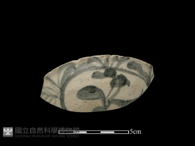 Accession Number:TCCC-2013-0126 Collection Image