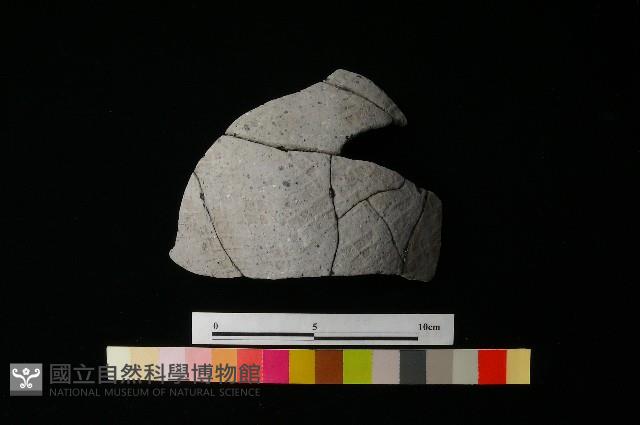 陶片藏品圖，第1張