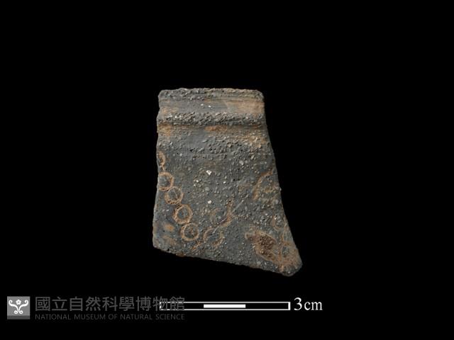 陶片藏品圖，第1張