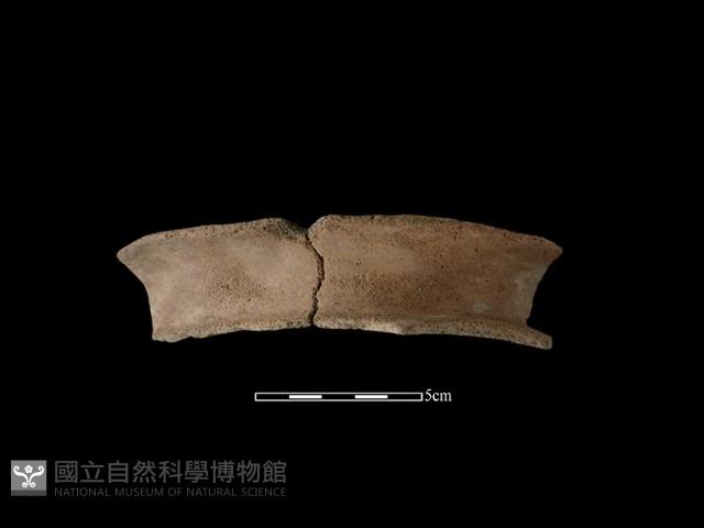 陶罐藏品圖，第2張