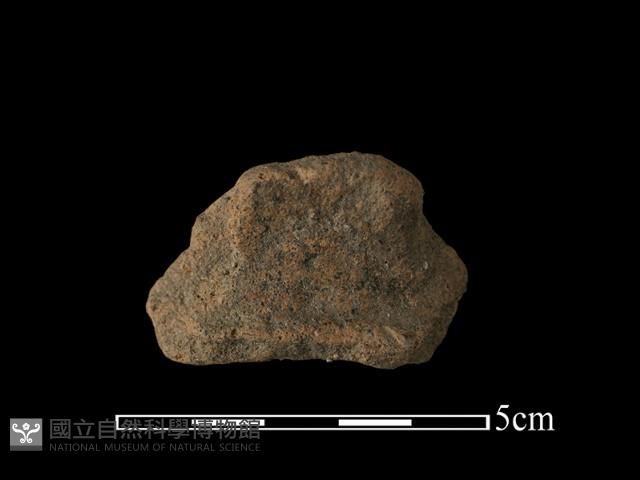 陶片藏品圖，第1張