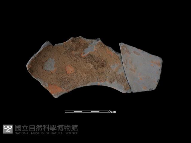 連杯形器藏品圖，第2張