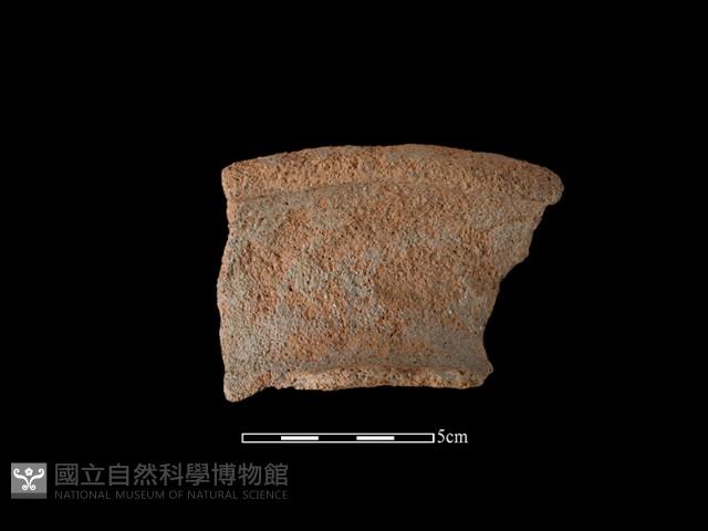 陶罐藏品圖，第1張