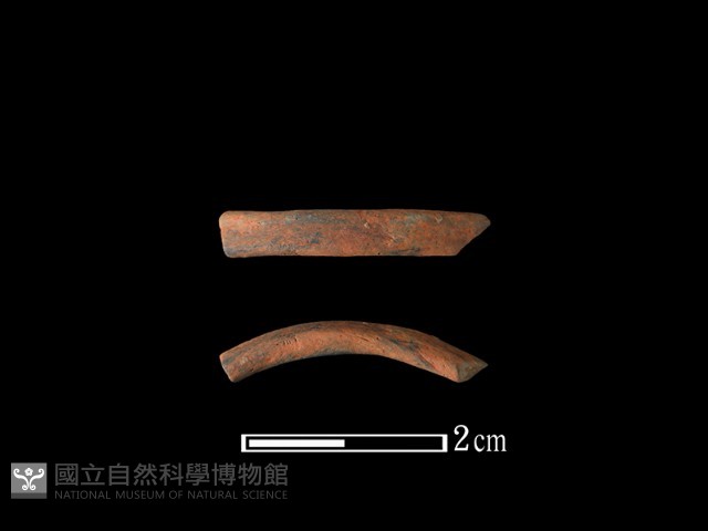 陶環藏品圖，第1張