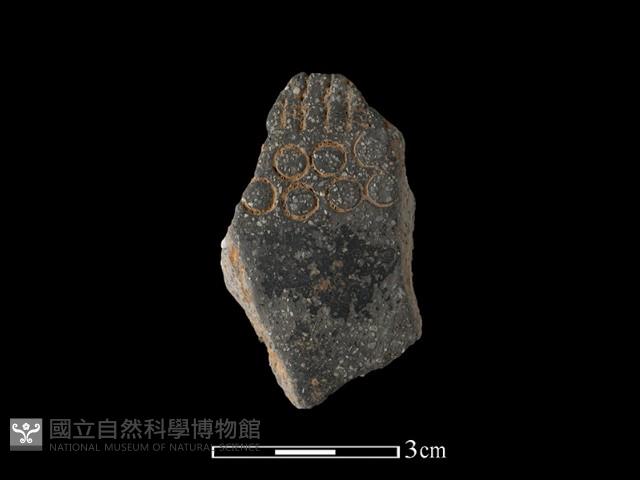 陶片藏品圖，第1張