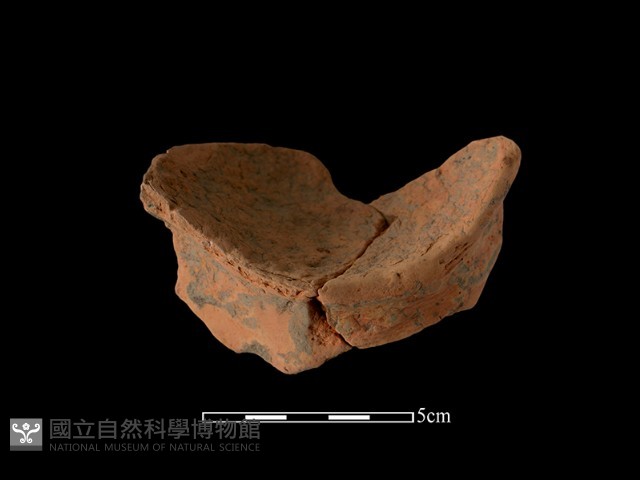陶片藏品圖，第1張