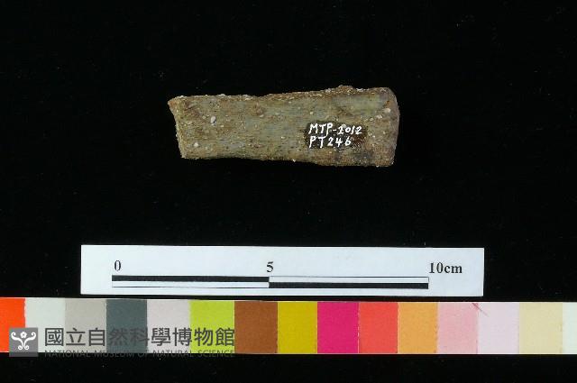 陶器藏品圖，第1張