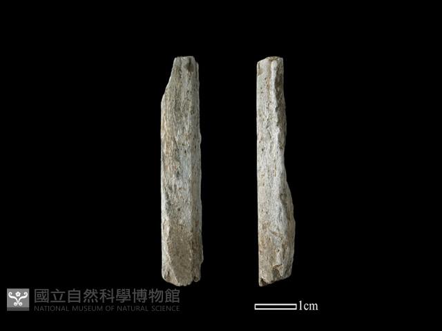 錛鑿形器藏品圖，第1張