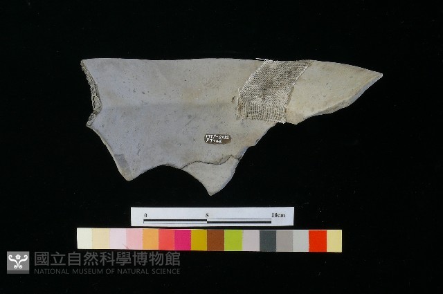 陶罐藏品圖，第2張