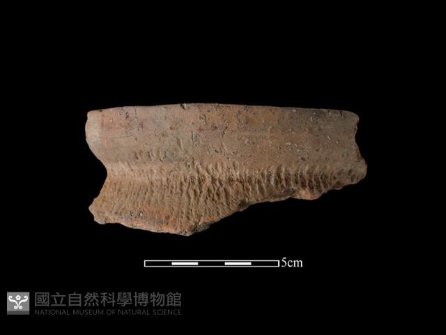 陶罐藏品圖，第2張