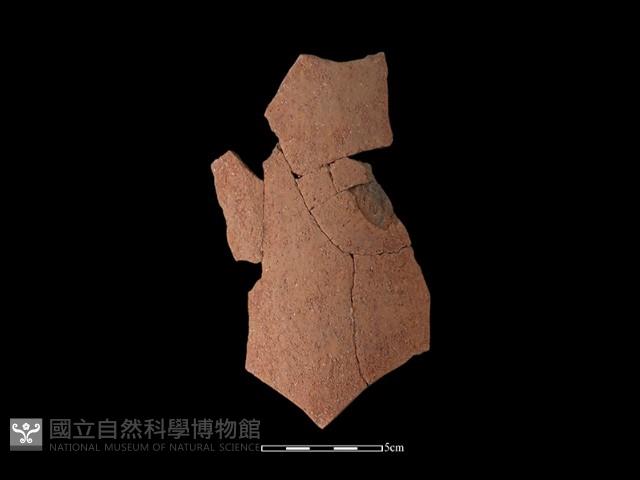 陶片藏品圖，第2張