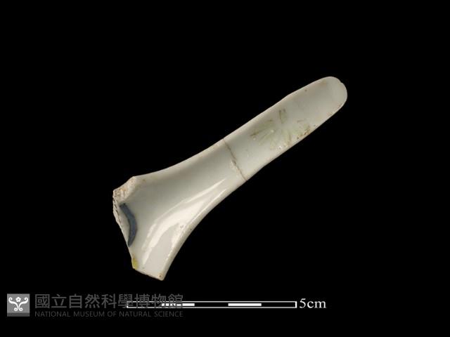 Accession Number:TCCC-2013-0446 Collection Image