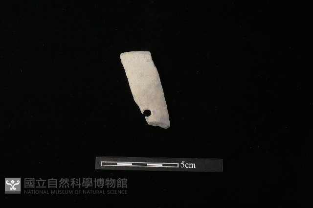 陶片藏品圖，第2張