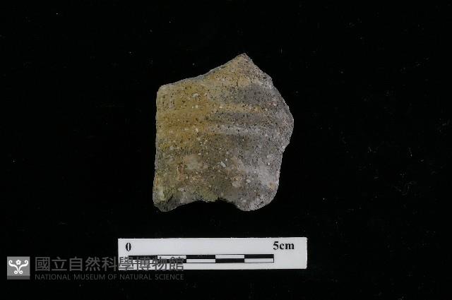 陶罐藏品圖，第2張