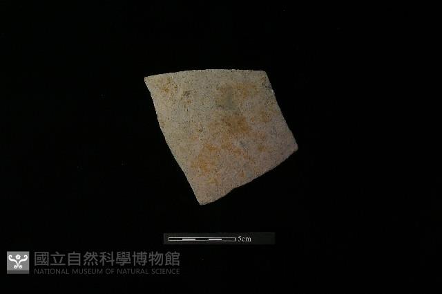 陶片藏品圖，第1張