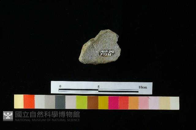 陶蓋藏品圖，第2張