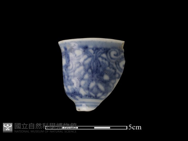 瓷杯藏品圖，第1張
