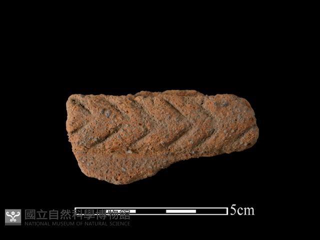 陶片藏品圖，第1張