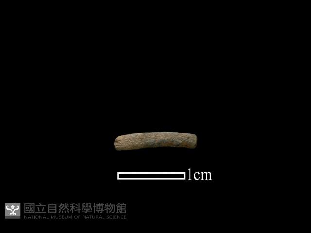 陶環藏品圖，第1張