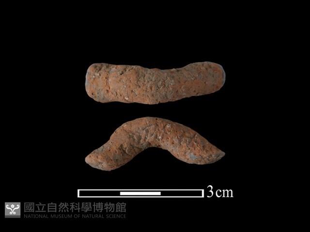 陶鈕藏品圖，第1張