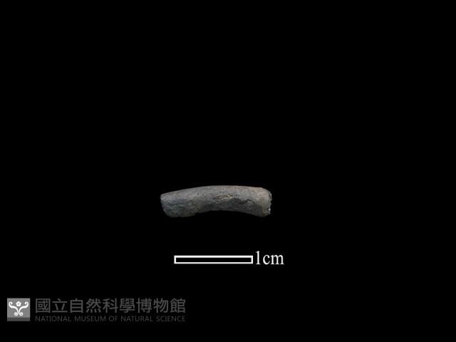 陶環藏品圖，第1張