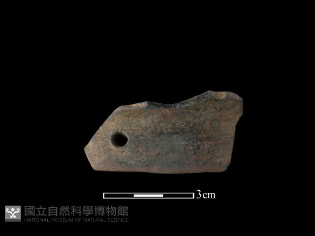 陶片藏品圖，第1張