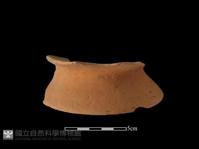 陶片藏品圖，第2張