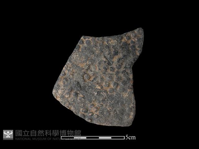 陶片藏品圖，第1張