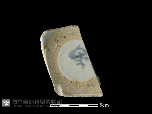 瓷片藏品圖，第1張