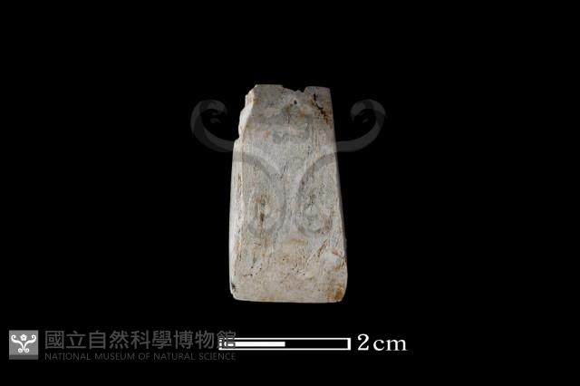 錛鑿形器藏品圖，第1張