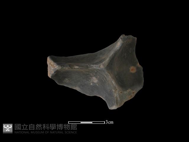 連杯形器藏品圖，第1張