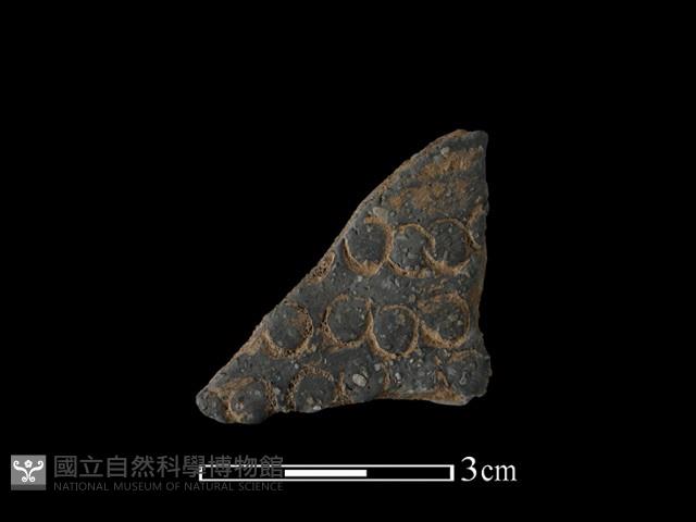 陶片藏品圖，第1張