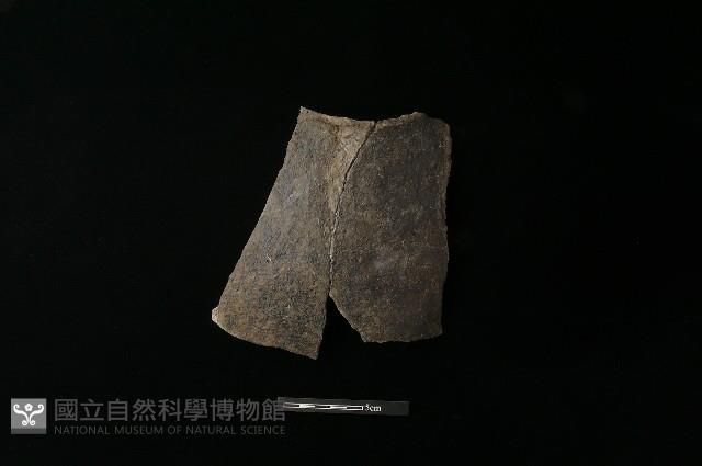 陶片藏品圖，第1張