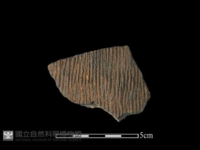 陶片藏品圖，第1張