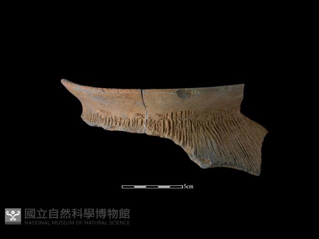 陶罐藏品圖，第2張