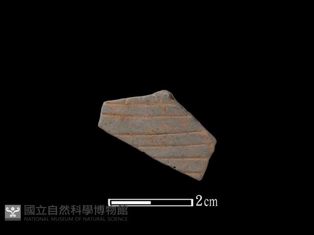 陶片藏品圖，第1張