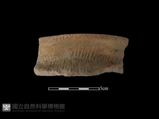 陶罐藏品圖，第2張