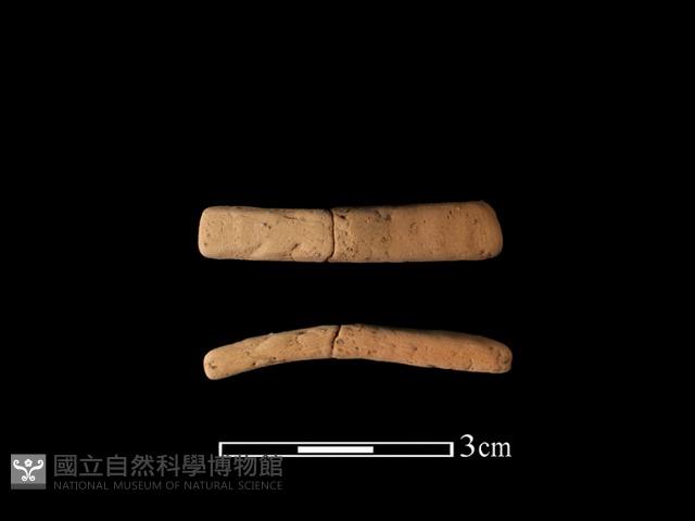 陶環藏品圖，第1張