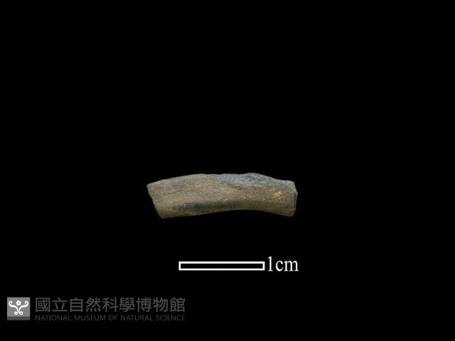 陶環藏品圖，第1張